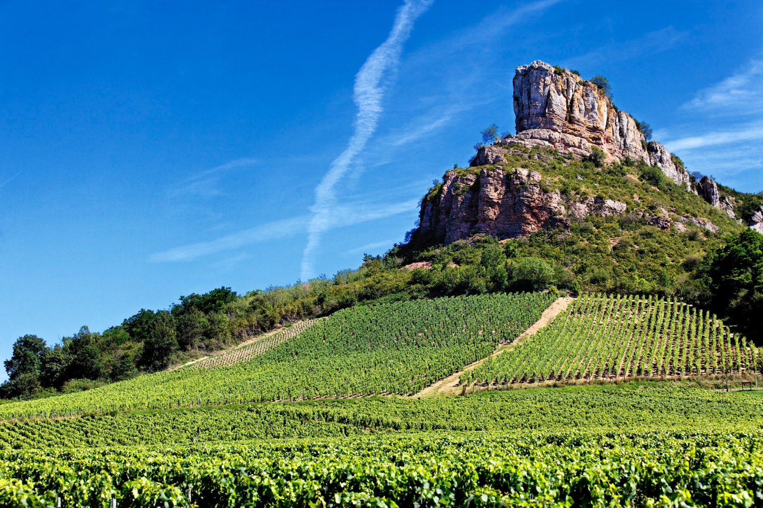 La France : Terre de Vins Raffinés et d'Excellence Viticole Mondiale
